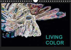 Living Color (Wandkalender 2019 DIN A4 quer) von Wand,  Jörg