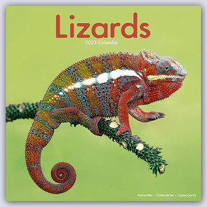Lizards – Eidechsen 2023 – 16-Monatskalender
