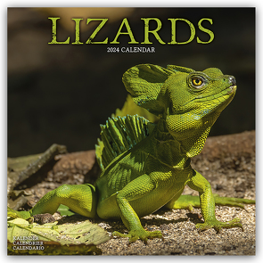 Lizards – Eidechsen 2024 – 16-Monatskalender