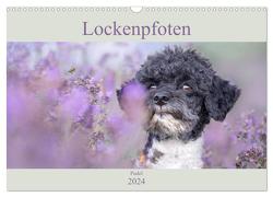 Lockenpfoten 2024 (Wandkalender 2024 DIN A3 quer), CALVENDO Monatskalender von Böke-Bergau www.boegau.de,  Sabine