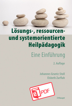 Lösungs-, ressourcen- und systemorientierte Heilpädagogik von Gruntz-Stoll,  Johannes, Zurfluh,  Elsbeth