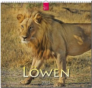 Löwen