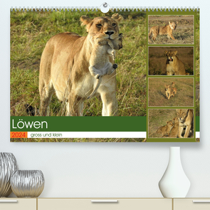 Löwen – gross und klein (hochwertiger Premium Wandkalender 2024 DIN A2 quer), Kunstdruck in Hochglanz von Michel,  Susan