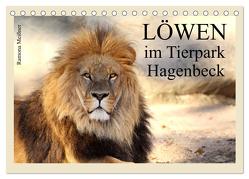 Löwen im Tierpark Hagenbeck (Tischkalender 2024 DIN A5 quer), CALVENDO Monatskalender von Meißner,  Ramona