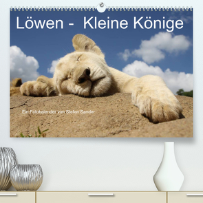 Löwen – Kleine Könige (Premium, hochwertiger DIN A2 Wandkalender 2023, Kunstdruck in Hochglanz) von Sander,  Stefan