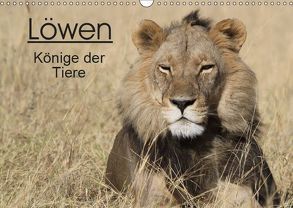 Löwen – Könige der Tiere (Wandkalender 2019 DIN A3 quer) von Sander,  Stefan