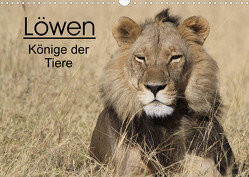 Löwen – Könige der Tiere (Wandkalender 2023 DIN A3 quer) von Sander,  Stefan