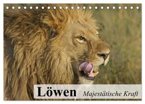 Löwen. Majestätische Kraft (Tischkalender 2024 DIN A5 quer), CALVENDO Monatskalender von Stanzer,  Elisabeth