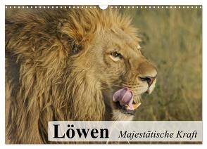 Löwen. Majestätische Kraft (Wandkalender 2024 DIN A3 quer), CALVENDO Monatskalender von Stanzer,  Elisabeth