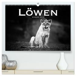 Löwen schwarz weiß (hochwertiger Premium Wandkalender 2024 DIN A2 quer), Kunstdruck in Hochglanz von Styppa,  Robert