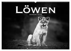Löwen schwarz weiß (Wandkalender 2024 DIN A2 quer), CALVENDO Monatskalender von Styppa,  Robert