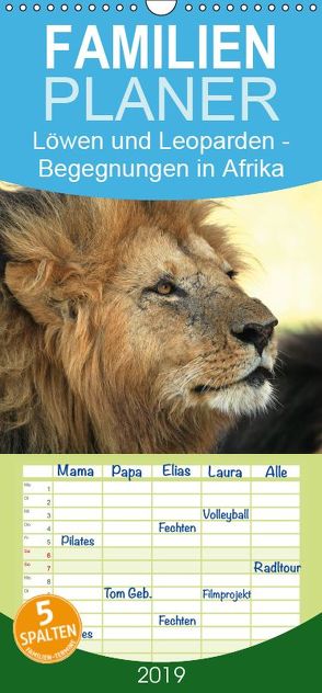Löwen und Leoparden – Begegnungen in Afrika – Familienplaner hoch (Wandkalender 2019 , 21 cm x 45 cm, hoch) von Herzog,  Michael