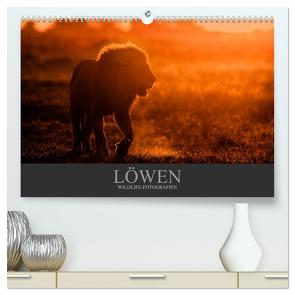 Löwen Wildlife-Fotografien (hochwertiger Premium Wandkalender 2024 DIN A2 quer), Kunstdruck in Hochglanz von Krutz,  Christina