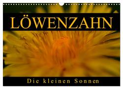 Löwenzahn – Die kleinen Sonnen (Wandkalender 2024 DIN A3 quer), CALVENDO Monatskalender von Kaden,  Cathrin