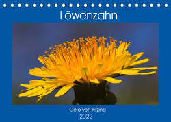 Löwenzahn im Frühjahr (Tischkalender 2022 DIN A5 quer) von von Kitzing,  Gero