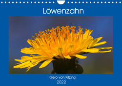 Löwenzahn im Frühjahr (Wandkalender 2022 DIN A4 quer) von von Kitzing,  Gero