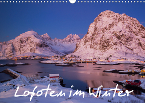 Lofoten im Winter (Wandkalender 2020 DIN A3 quer) von Buschardt,  Boris