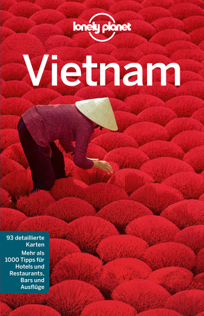 Lonely Planet Reiseführer Vietnam von Stewart,  Iain