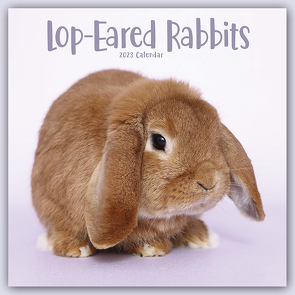 Lop-eared Rabbits – Widderkaninchen 2023 – 16-Monatskalender