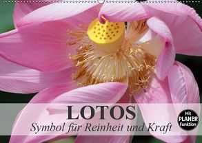 Lotos. Symbol für Reinheit und Kraft (Wandkalender 2019 DIN A2 quer) von Stanzer,  Elisabeth