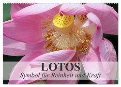 Lotos – Symbol für Reinheit und Kraft (Wandkalender 2024 DIN A2 quer), CALVENDO Monatskalender von Stanzer,  Elisabeth