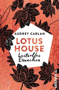 Lotus House – Lustvolles Erwachen (Die Lotus House-Serie 1) von Carlan,  Audrey, Peters-Kania,  Ulrike