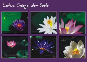 Lotus – Spiegel der Seele von Hendricks,  Helga, Lehmacher,  Jürgen