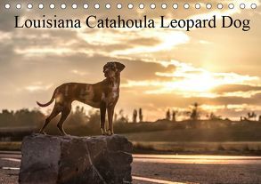 Louisiana Catahoula Leopard Dog 2019 (Tischkalender 2019 DIN A5 quer) von on Tour,  Catahouligan