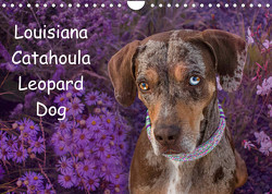 Lousiana Catahoula Leopard (Wandkalender 2023 DIN A4 quer) von on Tour,  Catahouligan