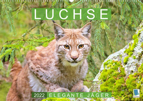 Luchse: Elegante Jäger (Wandkalender 2022 DIN A2 quer) von CALVENDO