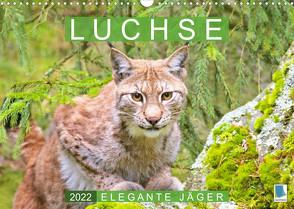 Luchse: Elegante Jäger (Wandkalender 2022 DIN A3 quer) von CALVENDO