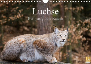 Luchse – Europas größte Katzen (Wandkalender 2021 DIN A4 quer) von Cloudtail