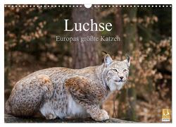 Luchse – Europas größte Katzen (Wandkalender 2024 DIN A3 quer), CALVENDO Monatskalender von Cloudtail,  Cloudtail