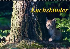 Luchskinder (Wandkalender 2019 DIN A3 quer) von Martin,  Wilfried