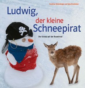 Ludwig, der kleine Schneepirat von Dattenberger,  Dorothea, Ehrenhuber,  Gaby