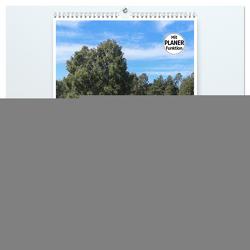 Lüneburger Heide – Faszinierend schön (hochwertiger Premium Wandkalender 2024 DIN A2 hoch), Kunstdruck in Hochglanz von Nack,  Heike