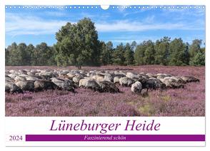 Lüneburger Heide – Faszinierend schön (Wandkalender 2024 DIN A3 quer), CALVENDO Monatskalender von Nack,  Heike
