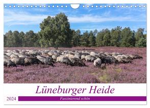 Lüneburger Heide – Faszinierend schön (Wandkalender 2024 DIN A4 quer), CALVENDO Monatskalender von Nack,  Heike