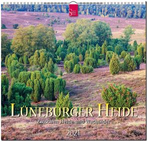 Lüneburger Heide – Zwischen Heide und Wacholder von Scheibner,  Johann