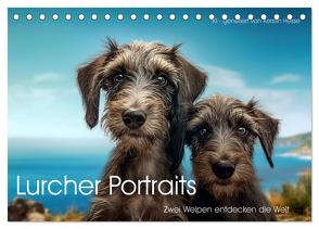 Lurcher Portraits – Zwei Welpen entdecken die Welt (Tischkalender 2024 DIN A5 quer), CALVENDO Monatskalender von Hesse,  Kerstin