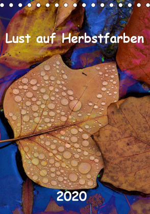 Lust auf Herbstfarben (Tischkalender 2020 DIN A5 hoch) von Grobelny,  Renate