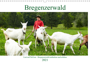 Lust auf NaTour – Bregenzerwald (Wandkalender 2021 DIN A3 quer) von Riedmiller,  Andreas