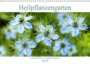 Lust auf NaTour – Heilpflanzengarten (Wandkalender 2019 DIN A3 quer) von Riedmiller,  Andreas