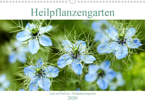 Lust auf NaTour – Heilpflanzengarten (Wandkalender 2020 DIN A3 quer) von Riedmiller,  Andreas