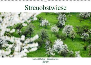 Lust auf NaTour – Streuobstwiese (Wandkalender 2019 DIN A2 quer) von Riedmiller,  Andreas