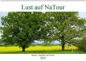 Lust auf NaTour – Bäume (Wandkalender 2019 DIN A2 quer) von Riedmiller,  Andreas