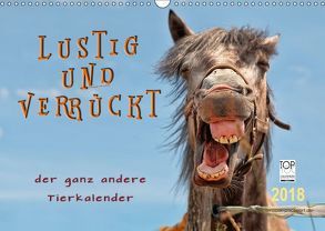 Lustig und verrückt – der ganz andere Tierkalender (Wandkalender 2018 DIN A3 quer) von Roder,  Peter