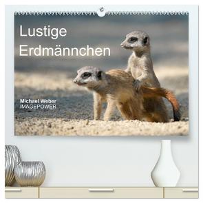 Lustige Erdmännchen (hochwertiger Premium Wandkalender 2024 DIN A2 quer), Kunstdruck in Hochglanz von Weber,  Michael