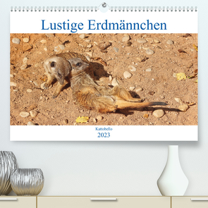 Lustige Erdmännchen (Premium, hochwertiger DIN A2 Wandkalender 2023, Kunstdruck in Hochglanz) von kattobello