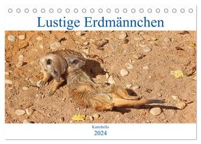 Lustige Erdmännchen (Tischkalender 2024 DIN A5 quer), CALVENDO Monatskalender von Kattobello,  Kattobello